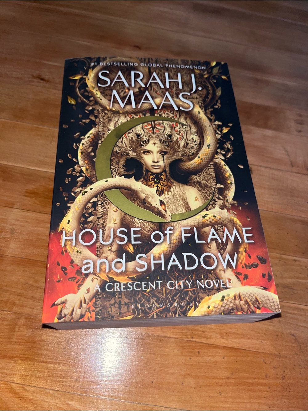- House of Flame and Shadow (Gold & Red Cover)
